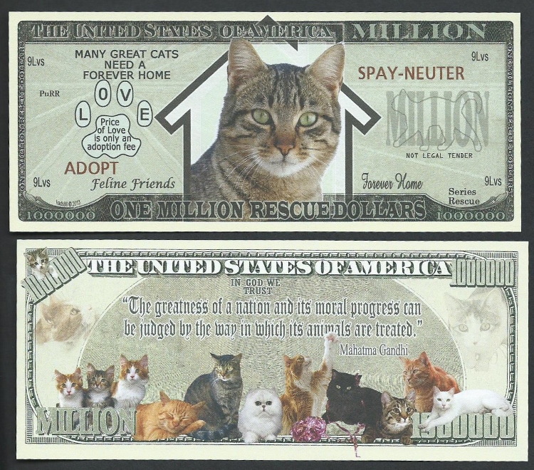 Потратить деньги играющие билла. Кот на миллион долларов. Миллион кошек. Кот миллион спасённая кошечк. Кошка деньги игра 99999.
